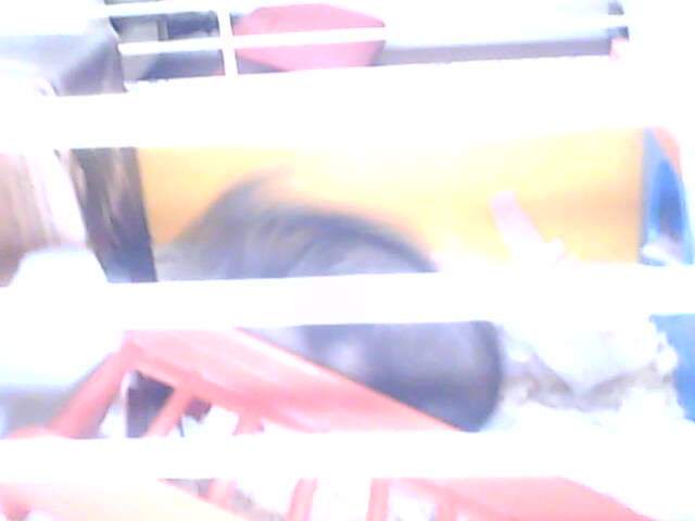 miskine obrazky 041.jpg